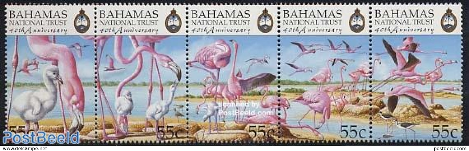 Bahamas 1999 National Trust, Flamingoes 5v [::::], Mint NH, Nature - Birds - Flamingo - Otros & Sin Clasificación