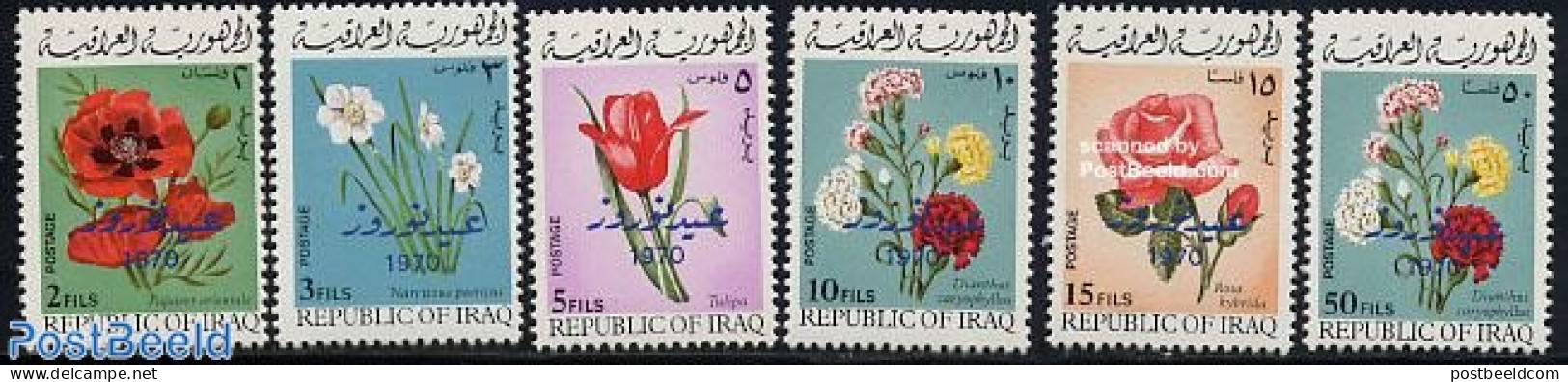 Iraq 1970 Kurdic New Year, Flowers 6v, Mint NH, Nature - Flowers & Plants - Irak