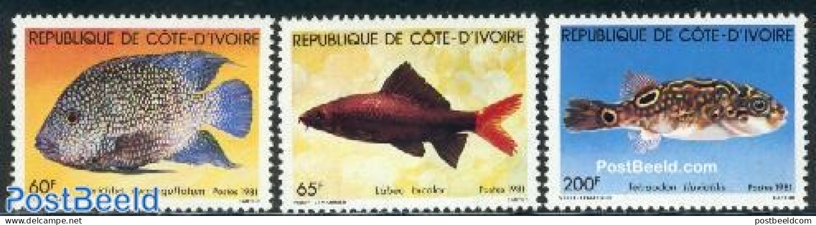 Ivory Coast 1981 Fish 3v, Mint NH, Nature - Fish - Neufs