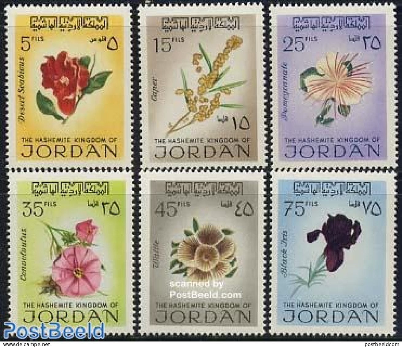 Jordan 1970 Flowers 6v, Mint NH, Nature - Flowers & Plants - Jordania