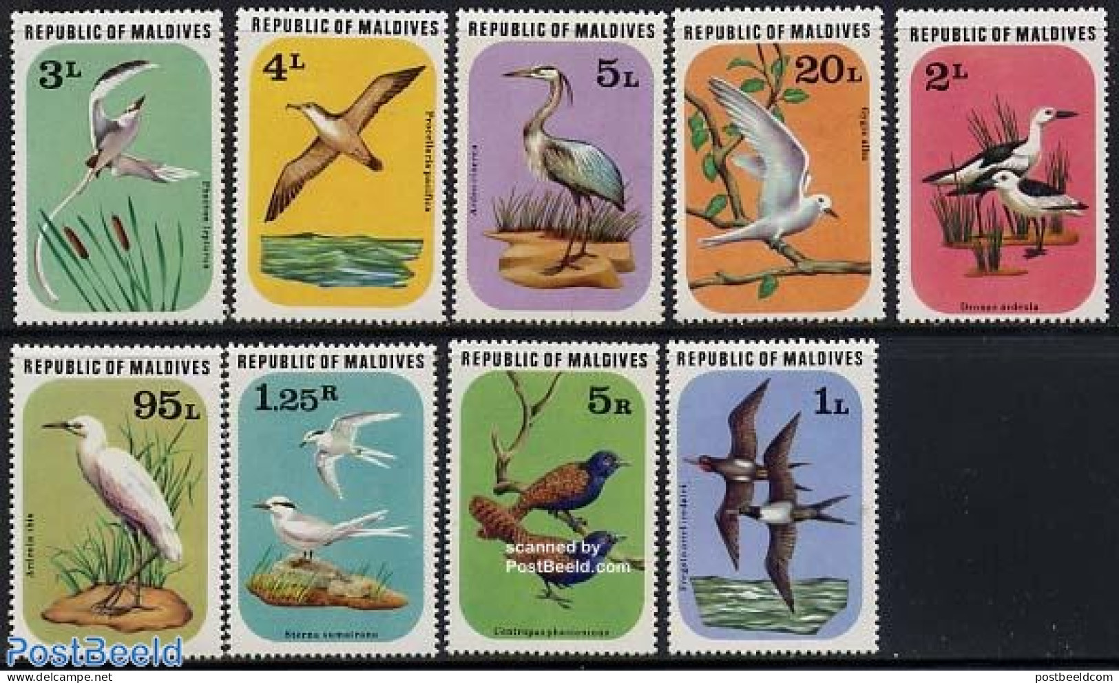 Maldives 1977 Birds 9v, Mint NH, Nature - Birds - Maldives (1965-...)