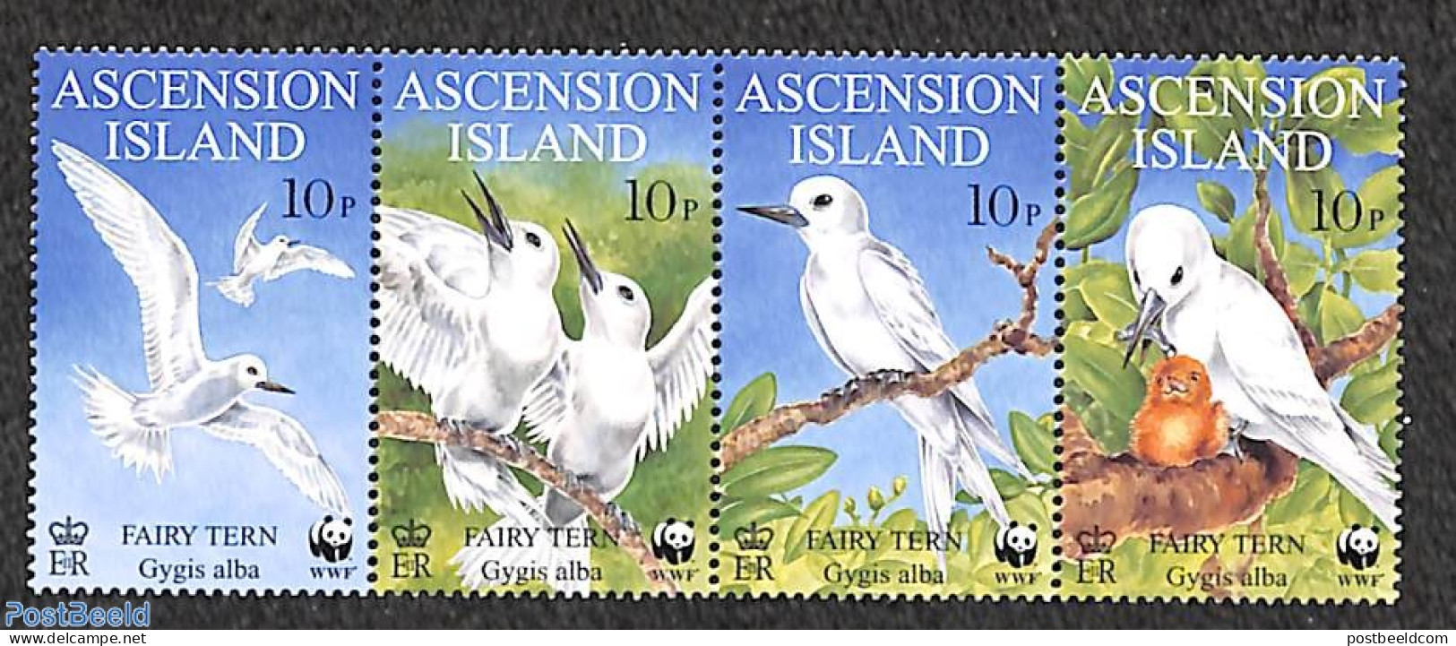 Ascension 1999 WWF, Birds 4v, Mint NH, Nature - Birds - World Wildlife Fund (WWF) - Ascensión