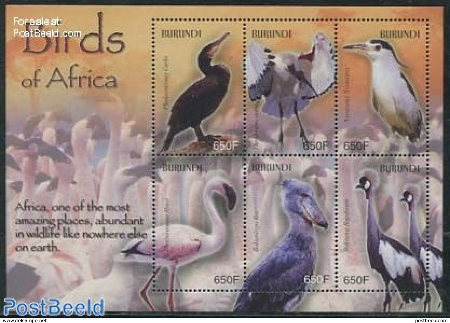 Burundi 2004 African Birds 6v M/s, Mint NH, Nature - Birds - Sonstige & Ohne Zuordnung