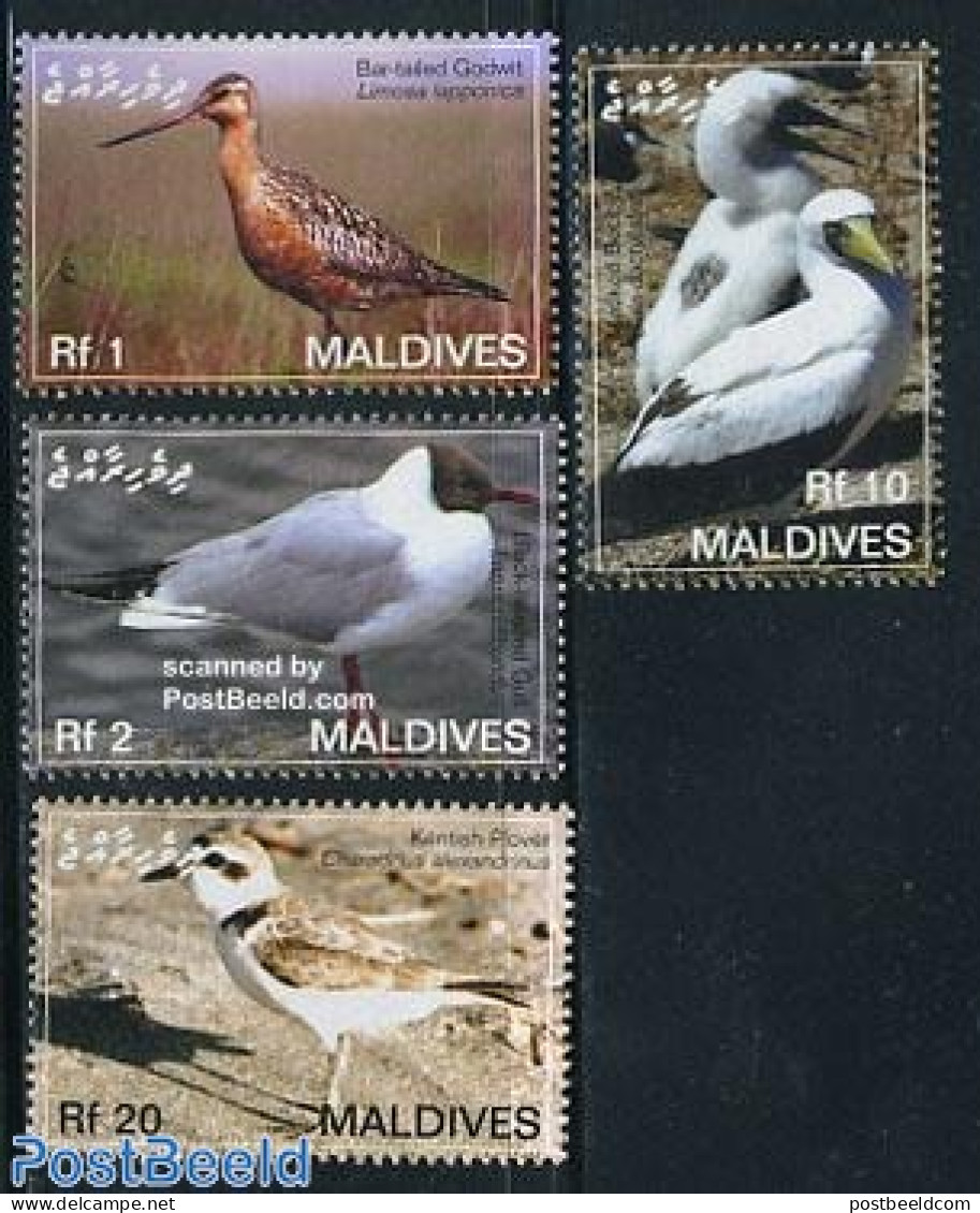 Maldives 2007 Birds 4v, Mint NH, Nature - Birds - Maldives (1965-...)