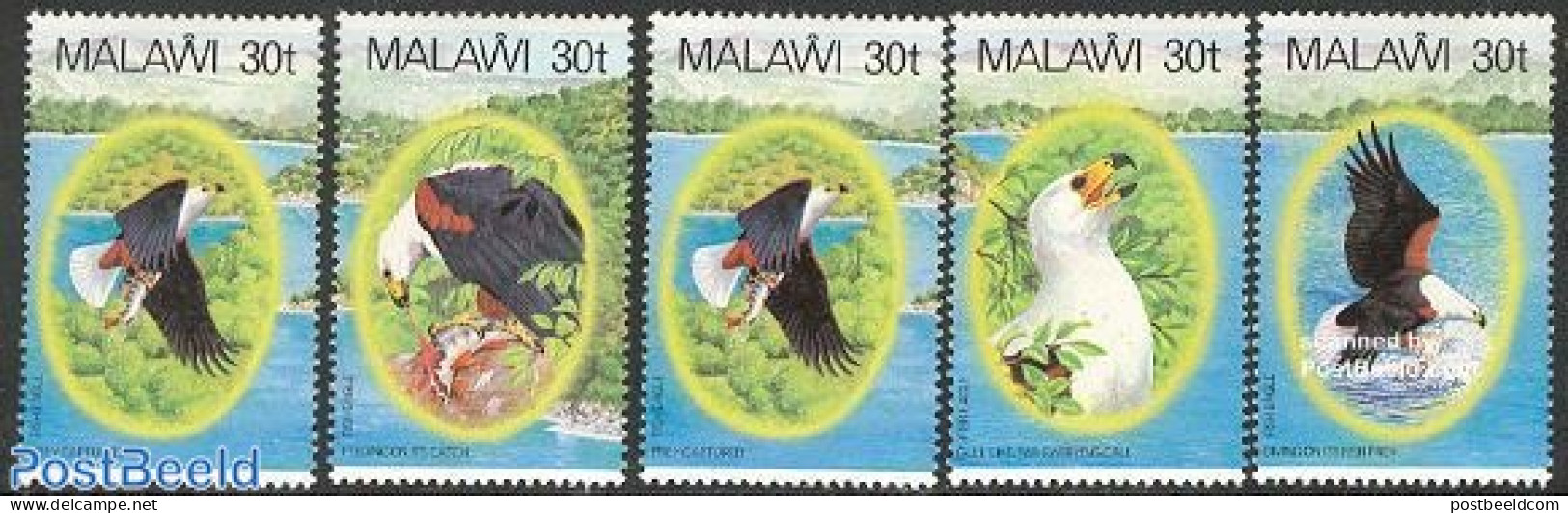 Malawi 1983 Birds 5v, Mint NH, Nature - Birds - Malawi (1964-...)