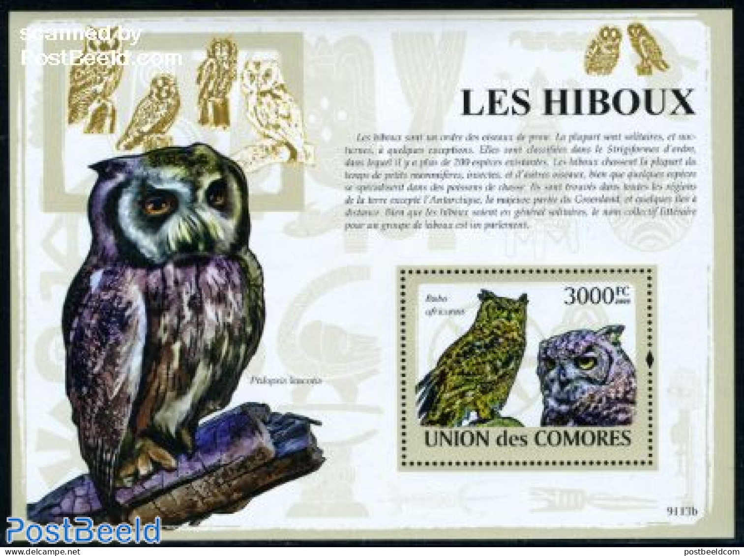 Comoros 2009 Owls S/s, Mint NH, Nature - Birds - Birds Of Prey - Owls - Comoros