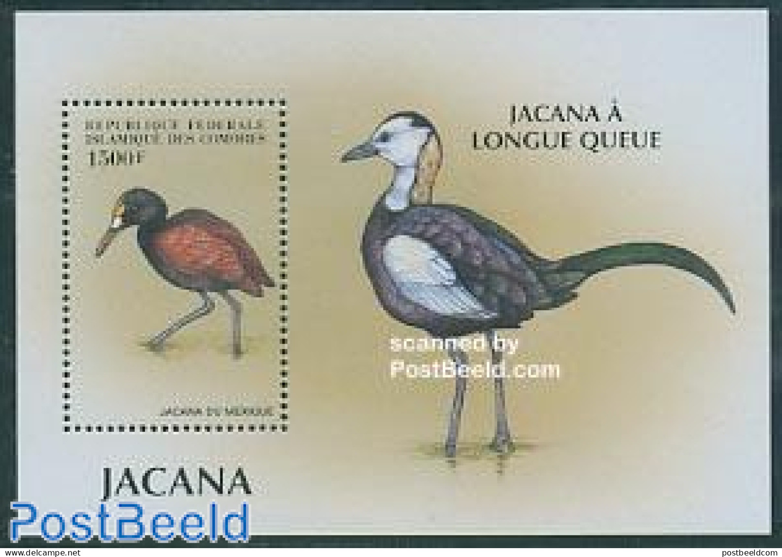 Comoros 1999 Bird S/s, Jacana Du Mexique, Mint NH, Nature - Birds - Isole Comore (1975-...)