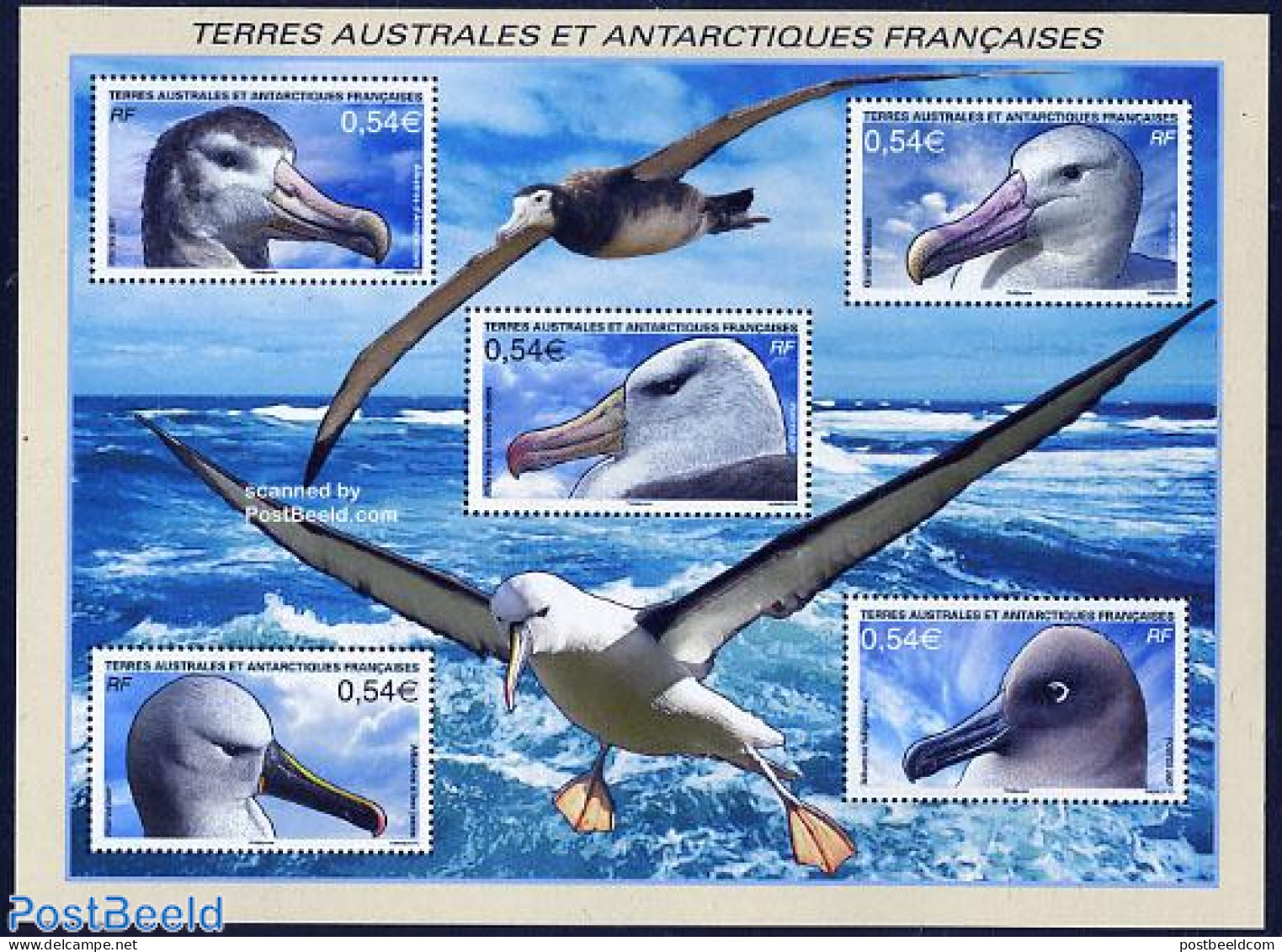 French Antarctic Territory 2007 Albatros 5v M/s, Mint NH, Nature - Birds - Ongebruikt
