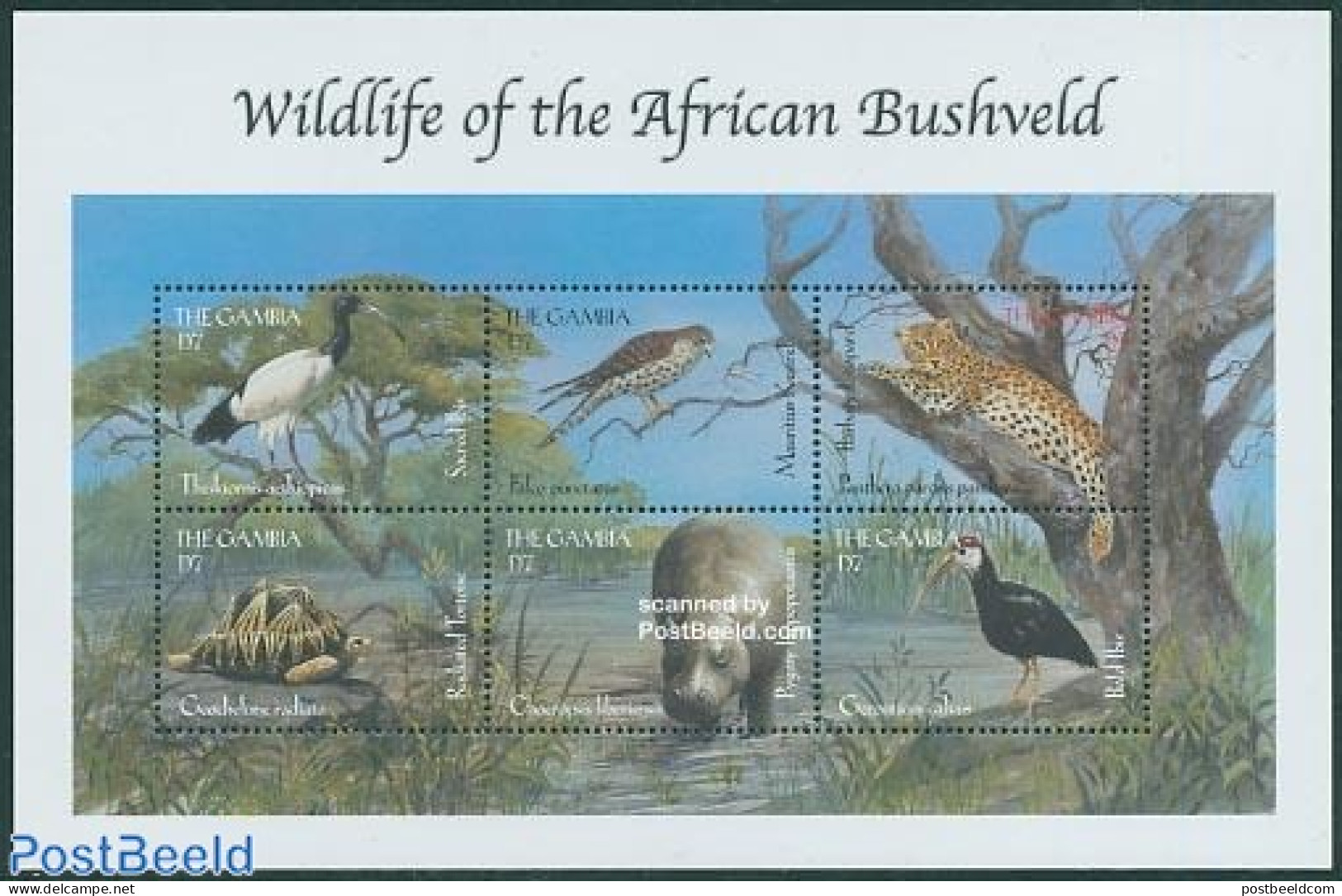 Gambia 2000 Animals 6v M/s, Sacred Ibis, Mint NH, Nature - Animals (others & Mixed) - Birds - Cat Family - Hippopotamu.. - Gambie (...-1964)