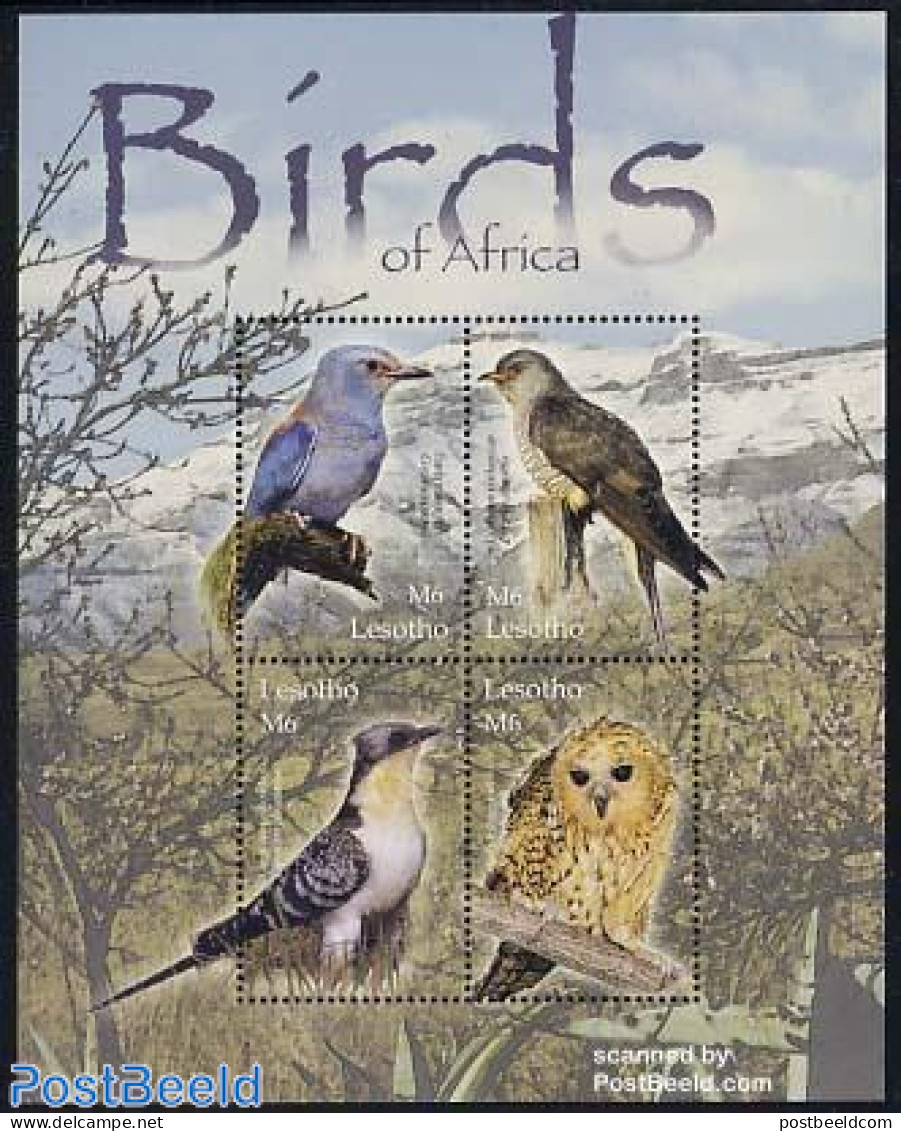 Lesotho 2004 Birds 4v M/s, Mint NH, Nature - Birds - Owls - Lesotho (1966-...)