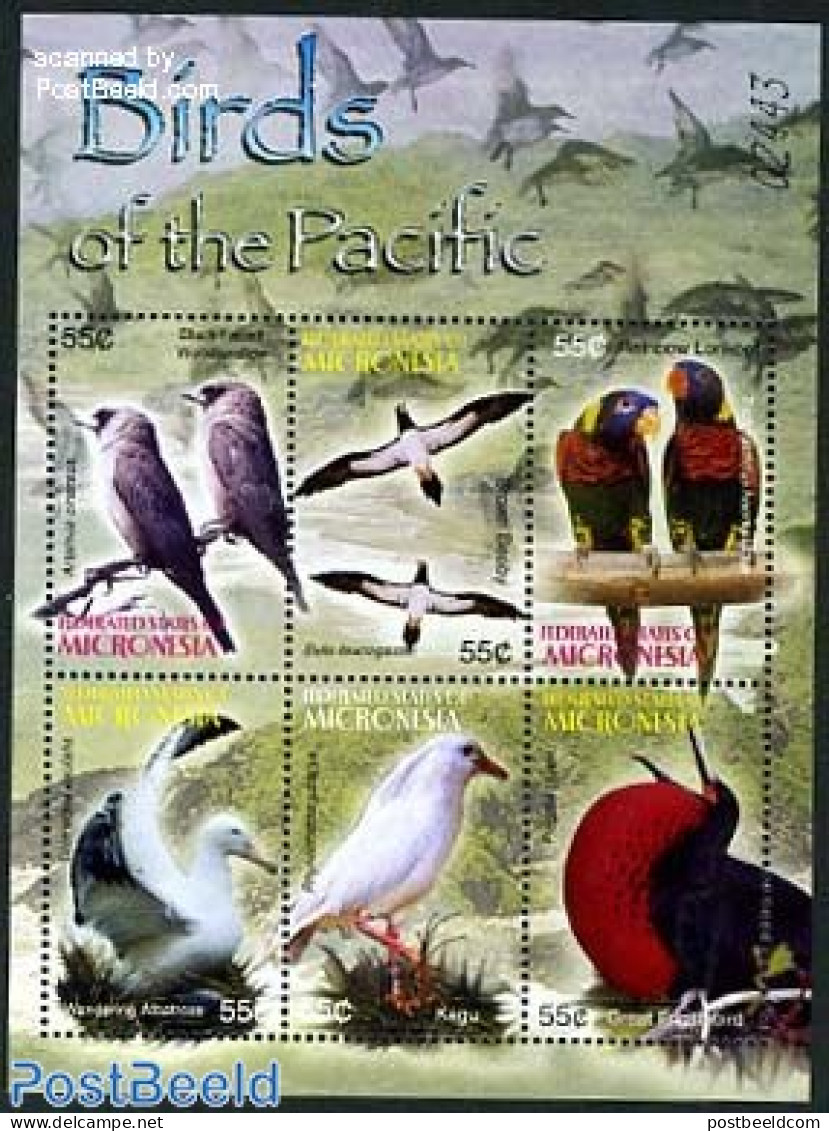 Micronesia 2004 Birds 6v M/s, Mint NH, Nature - Birds - Micronésie