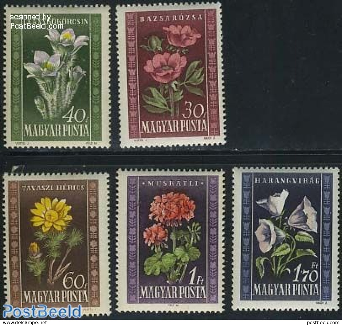 Hungary 1950 Flowers 5v, Mint NH, Nature - Flowers & Plants - Unused Stamps