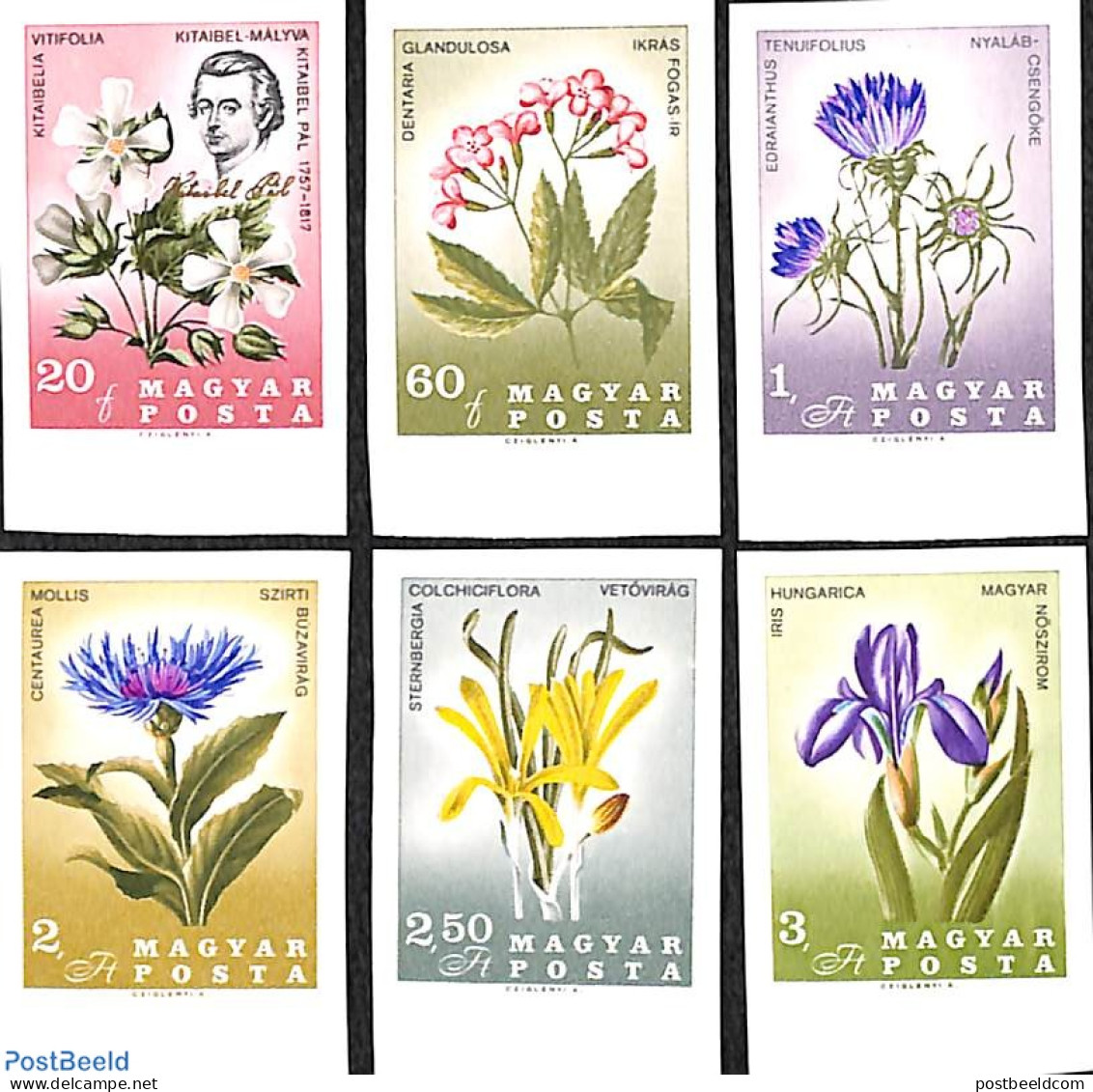Hungary 1967 Pal Kitaibel, Flowers 7v Imperforated, Mint NH, Nature - Flowers & Plants - Neufs