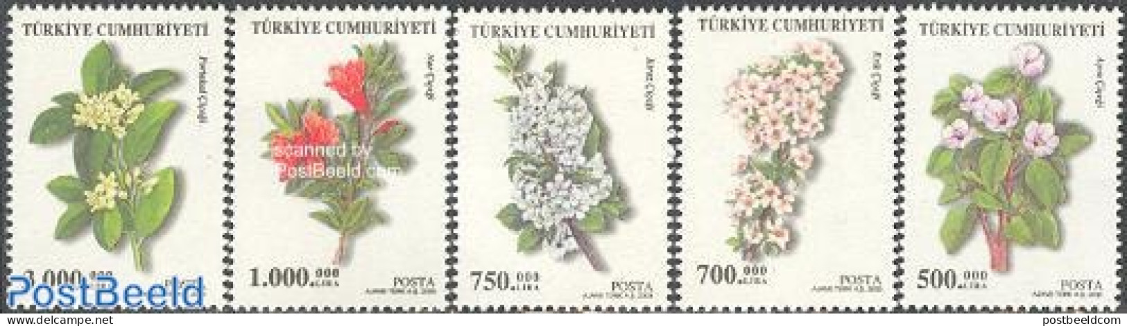 Türkiye 2003 Flowers 5v, Mint NH, Nature - Flowers & Plants - Otros & Sin Clasificación