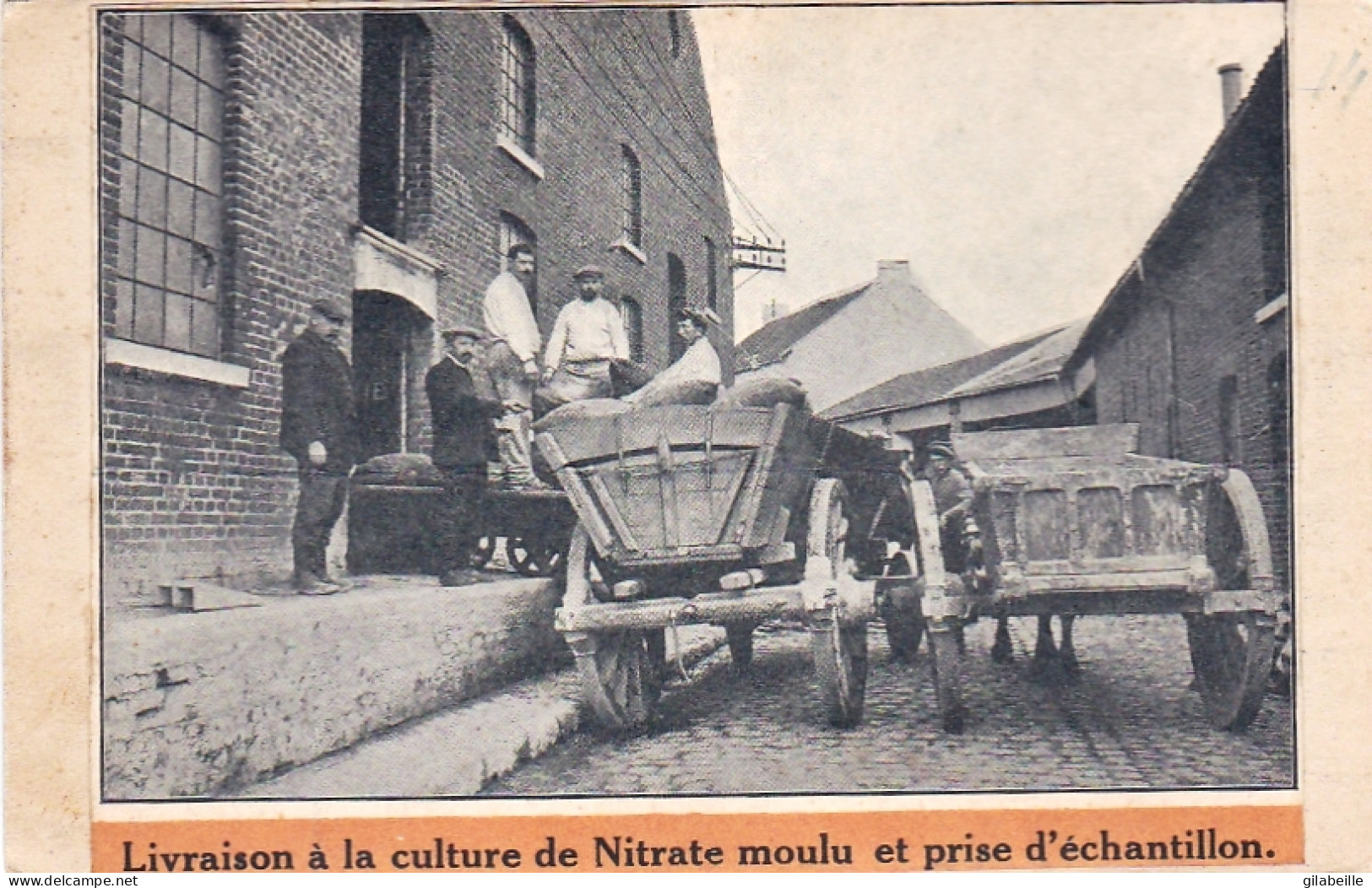 Ecole De Bienfaisance De L'état A SAINT HUBERT - Livraison A La Culture De Nitrate Moulu Et Prise D'echantillon - - Saint-Hubert