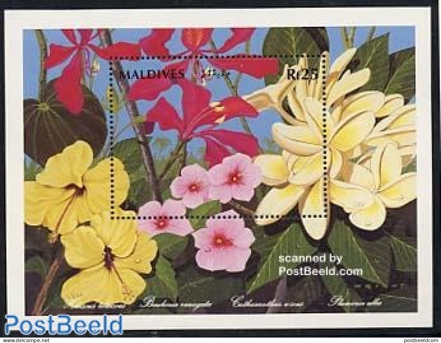 Maldives 1992 Flowers S/s, Mint NH, Nature - Flowers & Plants - Maldives (1965-...)