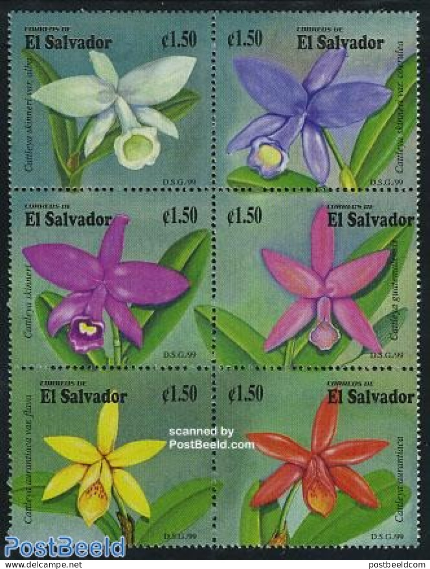 El Salvador 1999 Orchids 6v Sheetlet, Mint NH, Nature - Flowers & Plants - Orchids - Salvador