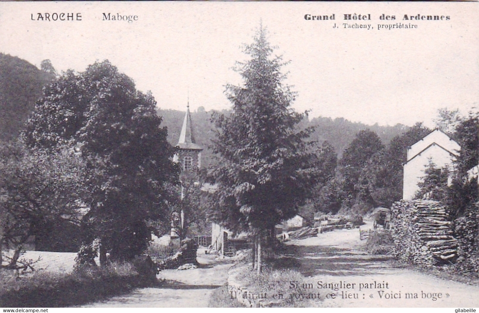 LAROCHE - La Roche-en-Ardenne - Maboge - Grand Hotel Des Ardennes - La-Roche-en-Ardenne