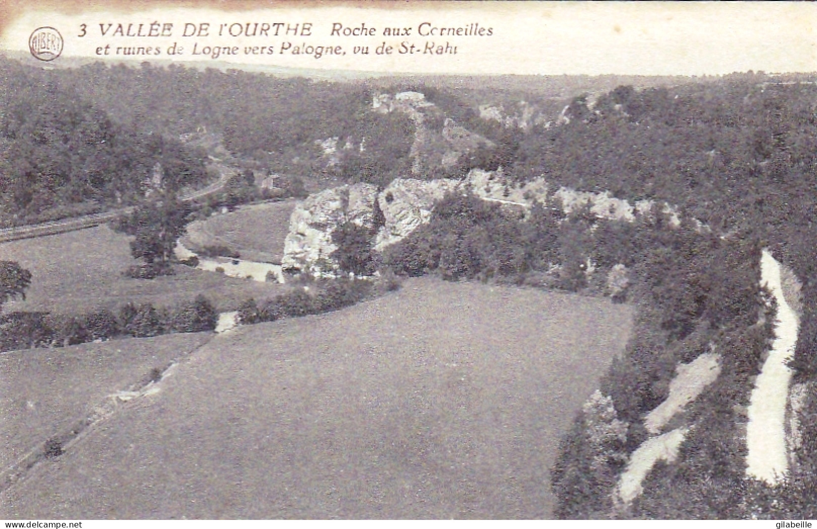 Ferrieres -  Vallée De L'Ourthe - LOGNE - Roche Aux Corneilles Et Ruines De Lognes Vers  Palogne - Ferrières