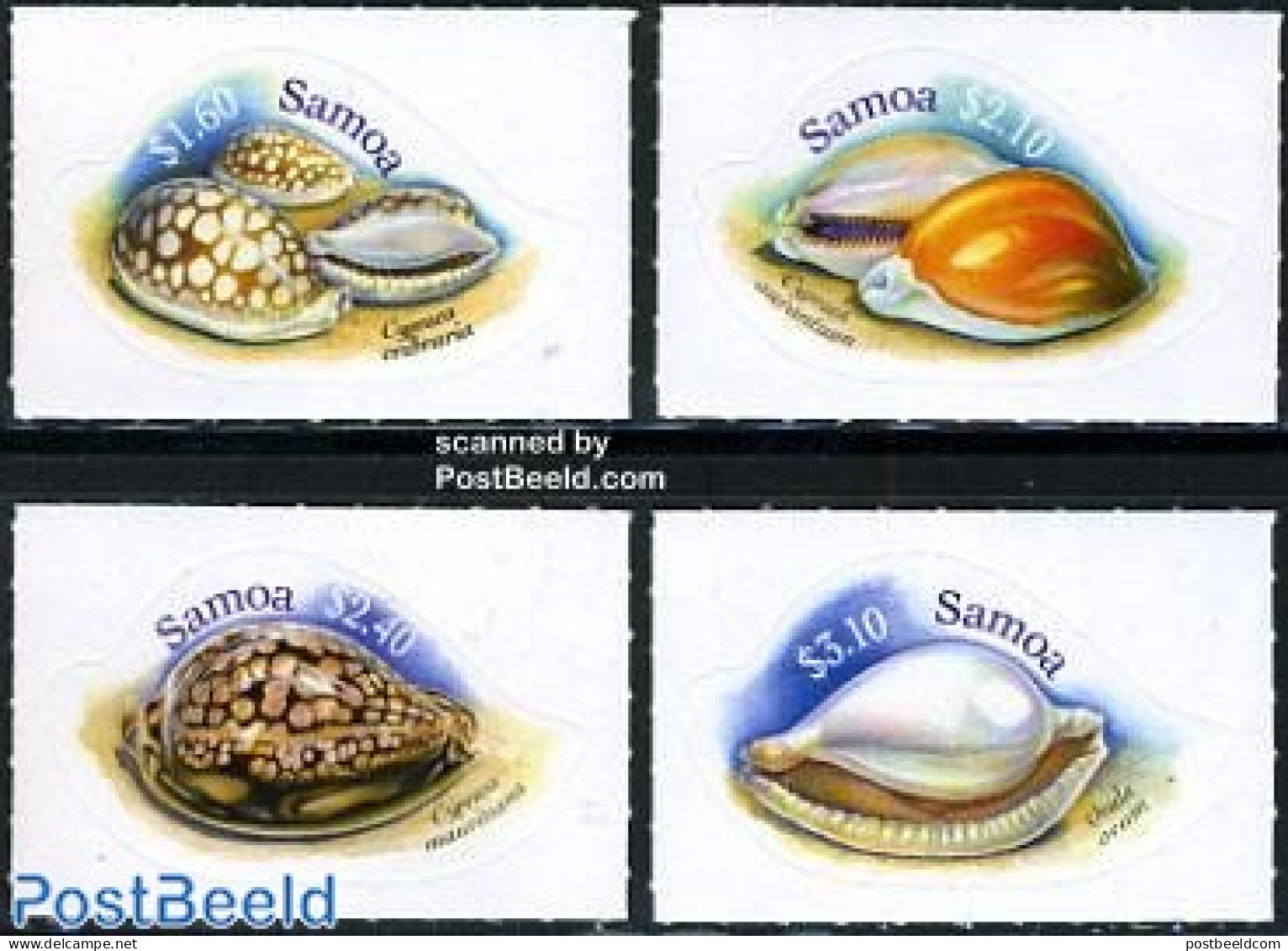 Samoa 2006 Shells 4v S-a, Mint NH, Nature - Shells & Crustaceans - Marine Life