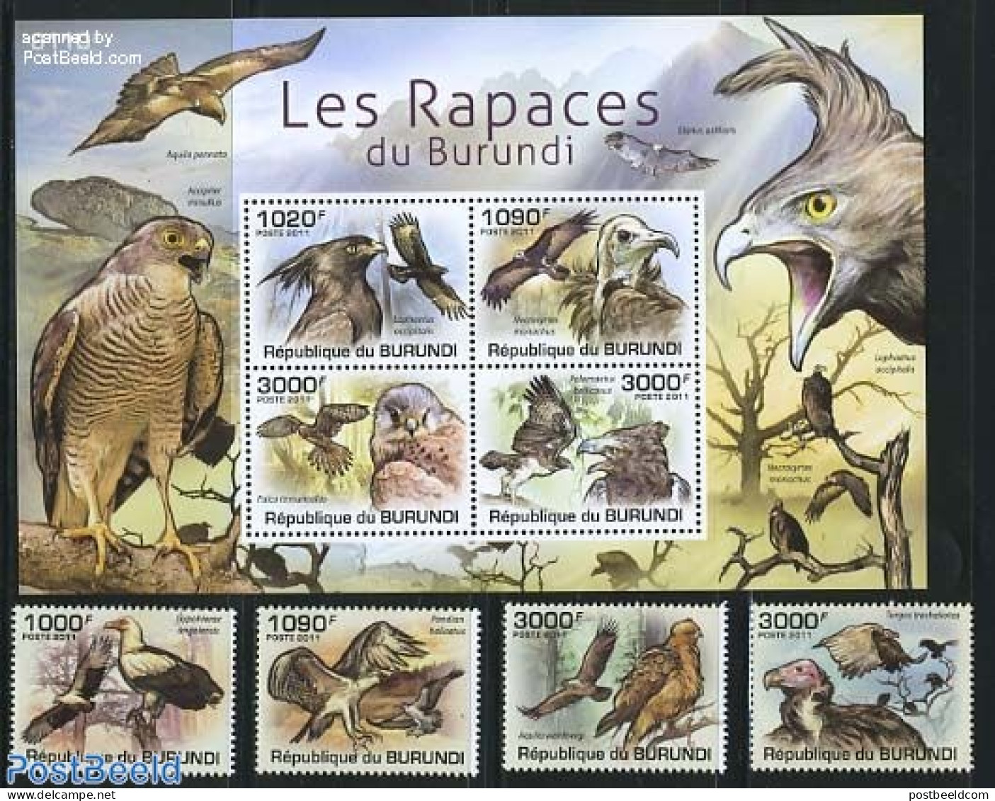 Burundi 2011 Birds Of Prey 4v + S/s, Mint NH - Andere & Zonder Classificatie