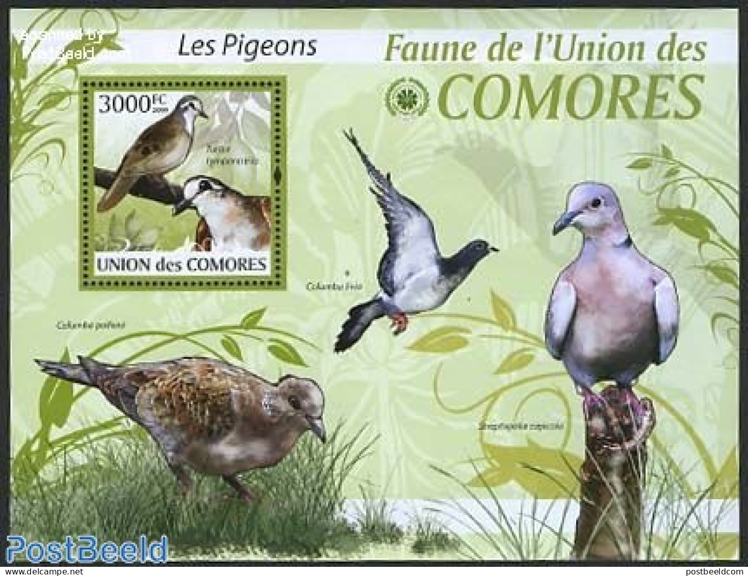 Comoros 2009 Pigeons S/s, Mint NH, Nature - Birds - Comores (1975-...)