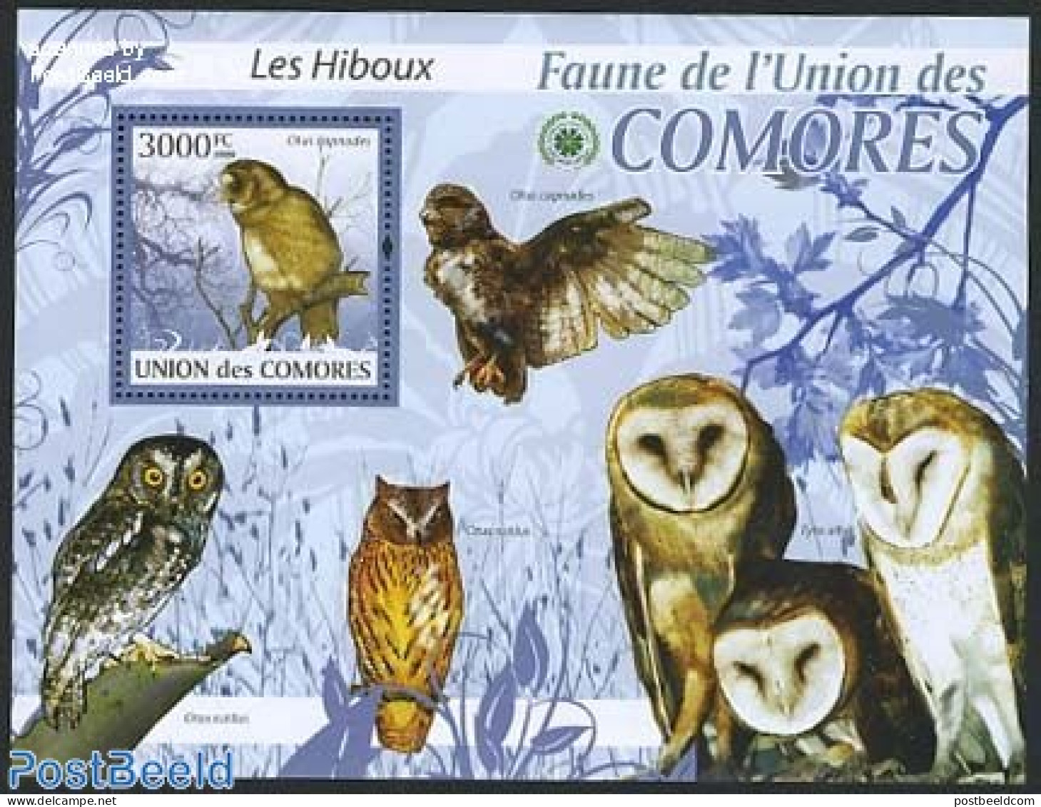 Comoros 2009 Owl S/s, Mint NH, Nature - Birds - Birds Of Prey - Owls - Isole Comore (1975-...)