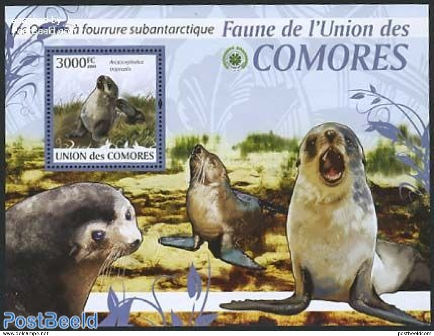 Comoros 2009 Seal S/s, Mint NH, Nature - Sea Mammals - Isole Comore (1975-...)