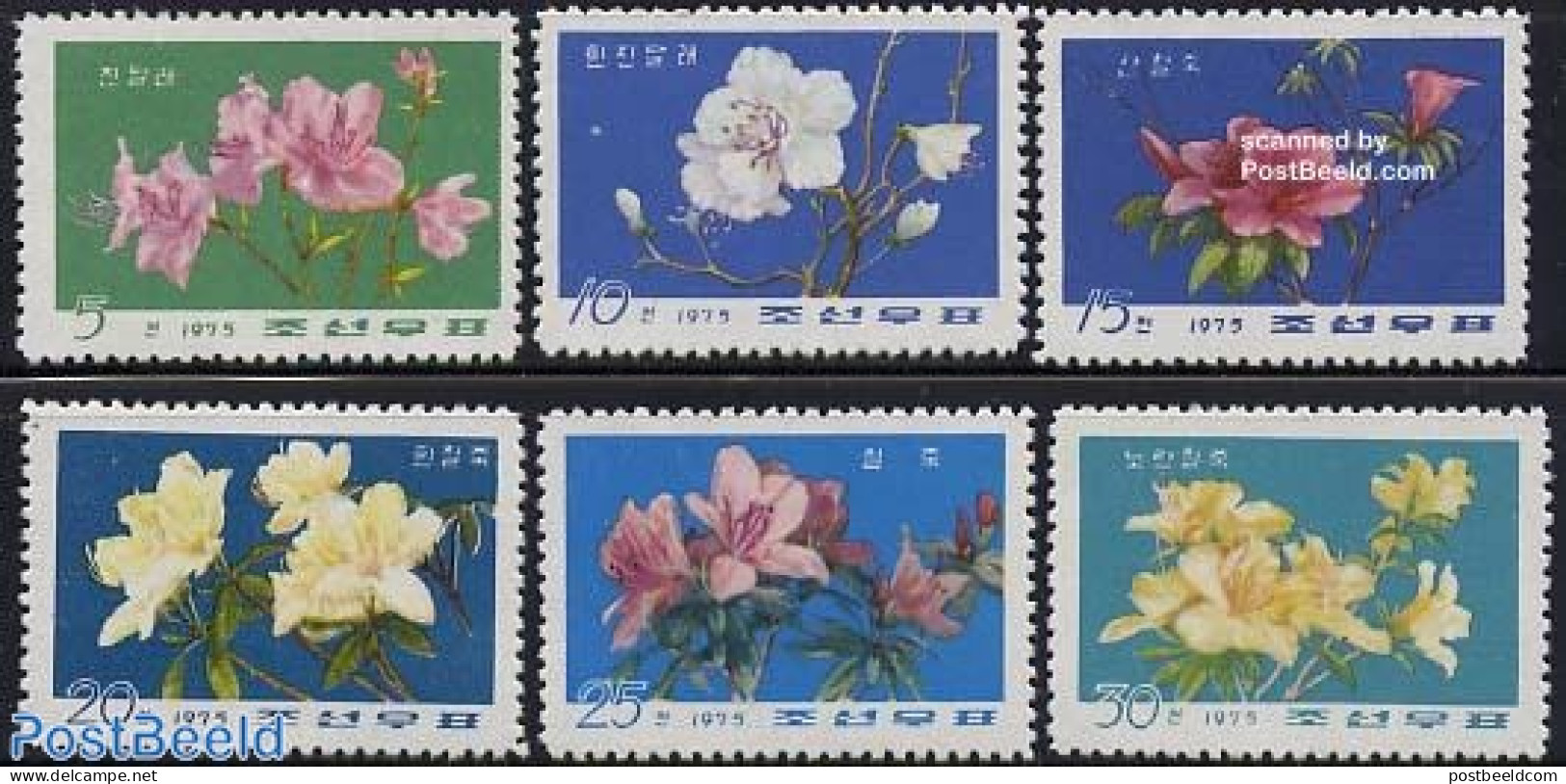 Korea, North 1975 Rhodondendrons 6v, Mint NH, Nature - Flowers & Plants - Korea, North