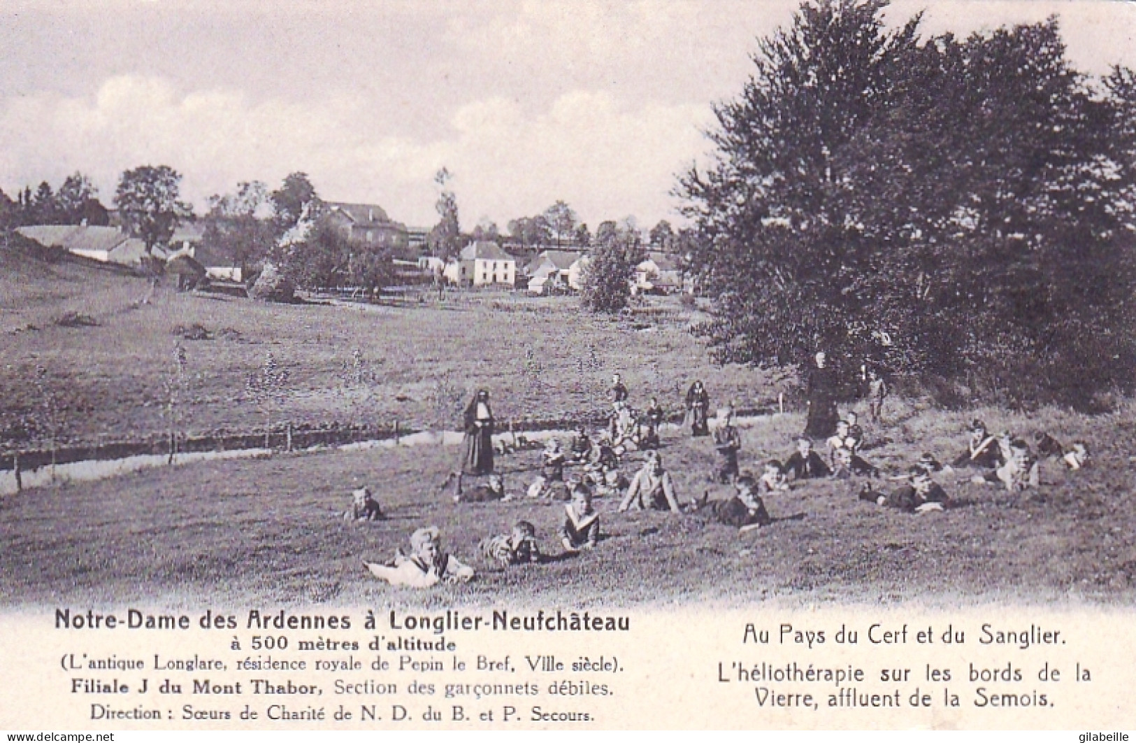 Luxembourg - LONGLIER NEUFCHATEAU - Notre Dame Des Ardennes - Au Parc Du Cerf Et Du Sanglier - Héliotherapie - Neufchateau