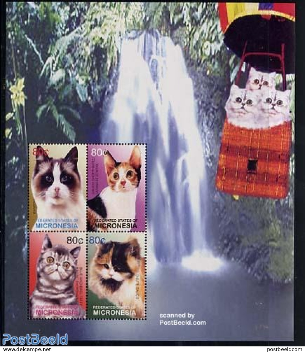 Micronesia 2003 Cats 4v M/s, Ragdoll, Mint NH, Nature - Cats - Mikronesien