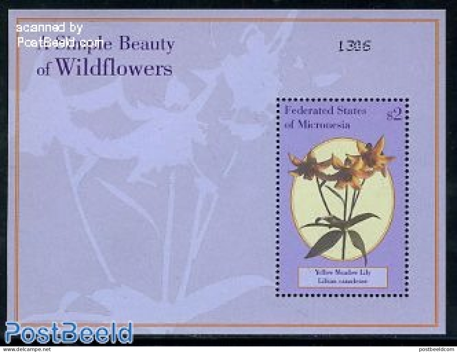 Micronesia 2000 Wild Flowers S/s, Mint NH, Nature - Flowers & Plants - Micronésie