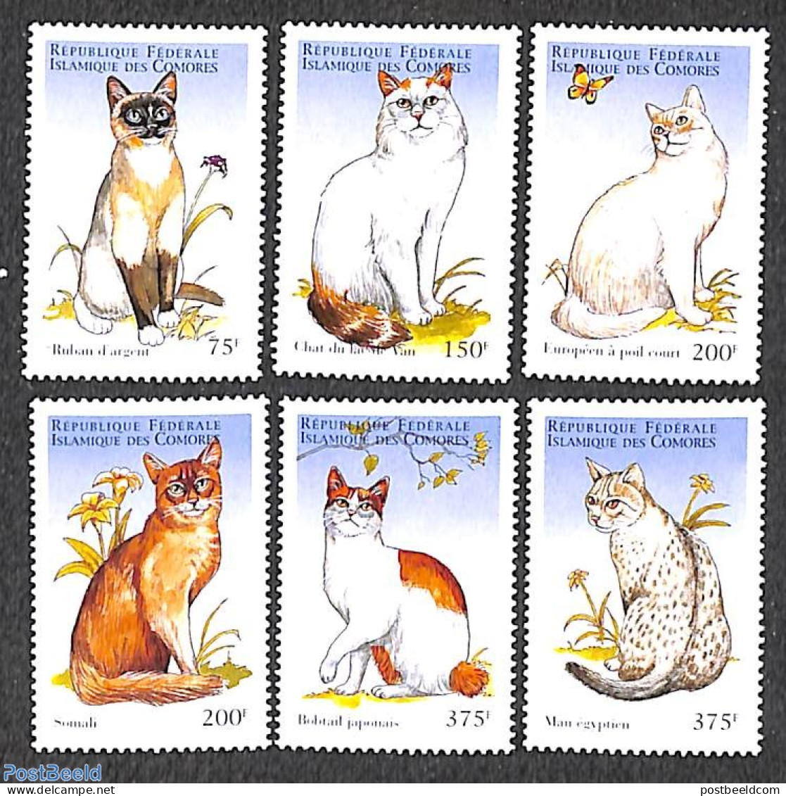 Comoros 1998 Cats 6v, Mint NH, Nature - Cats - Komoren (1975-...)