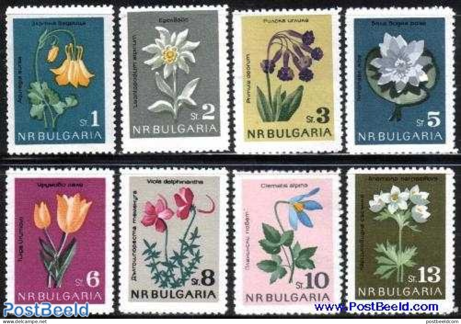 Bulgaria 1963 Flowers 8v, Mint NH, Nature - Flowers & Plants - Nuovi