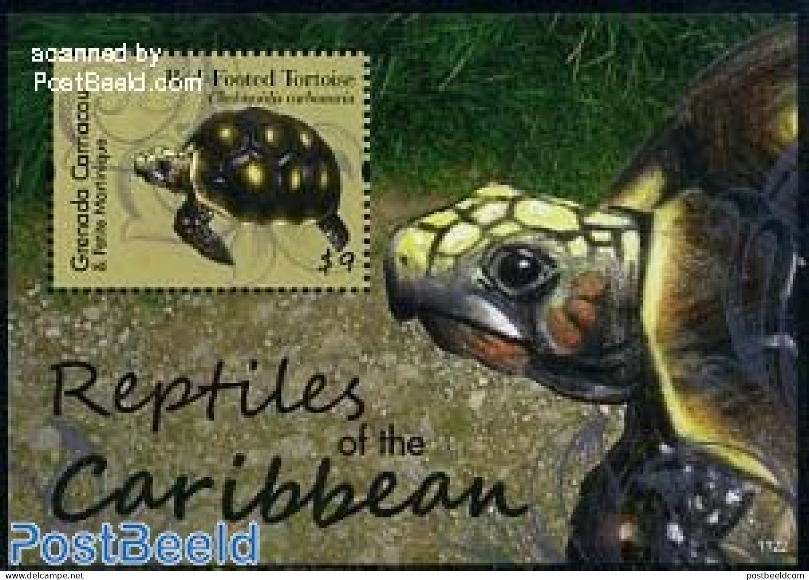 Grenada Grenadines 2011 Red Footed Tortoise S/s, Mint NH, Nature - Animals (others & Mixed) - Reptiles - Turtles - Grenada (1974-...)