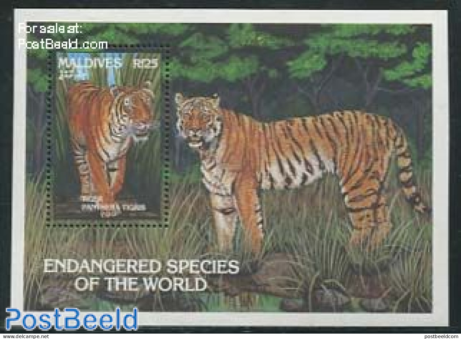 Maldives 1993 Endangered Animals S/s, Panthera Tigris, Mint NH, Nature - Animals (others & Mixed) - Cat Family - Maldives (1965-...)