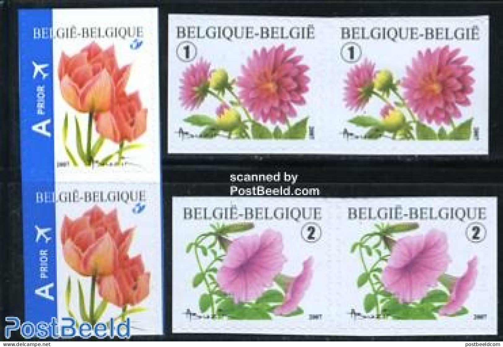 Belgium 2007 Flowers 6v From Booklets S-a (3 Sides Perf.), Mint NH, Nature - Flowers & Plants - Nuovi