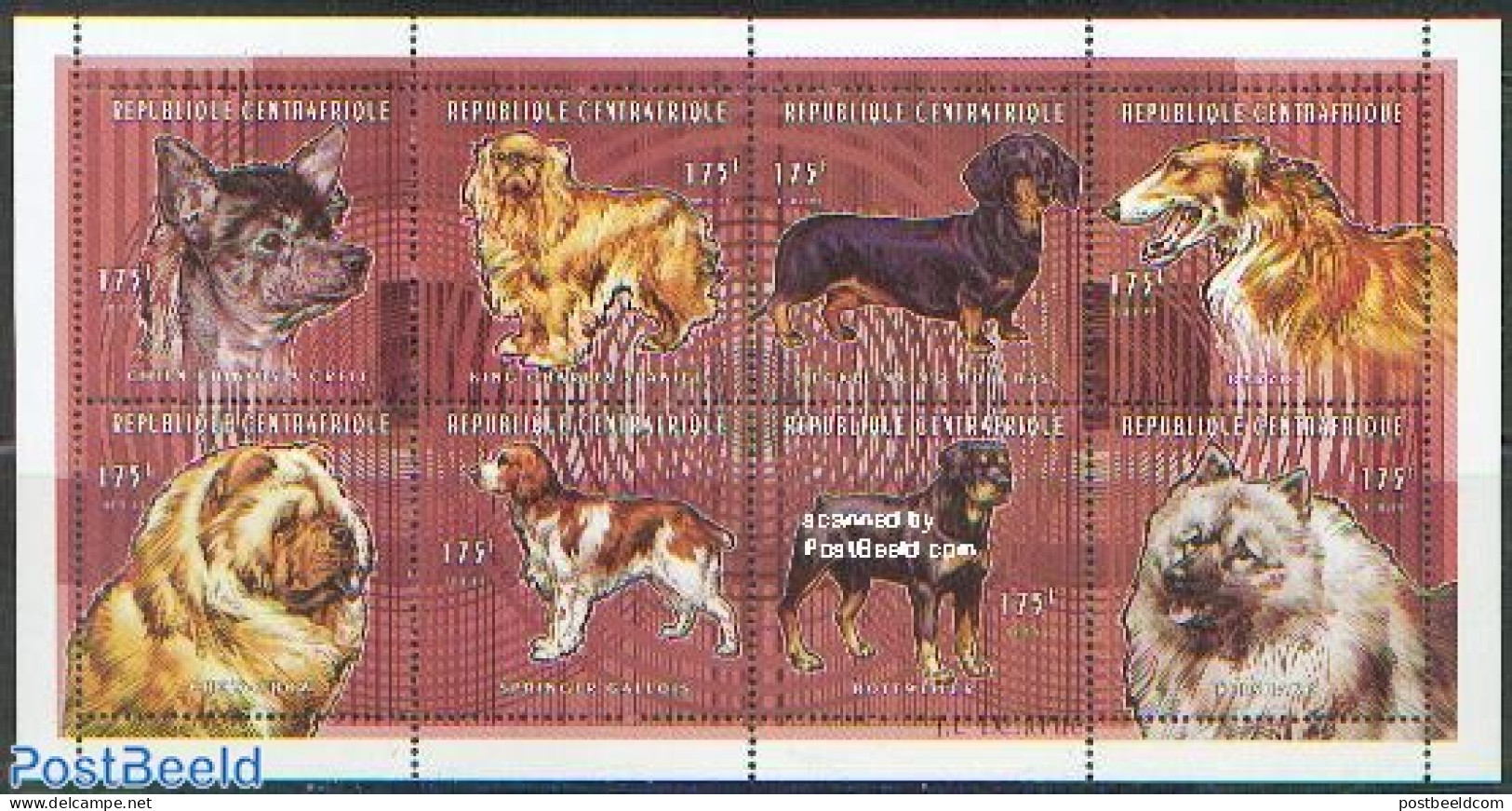 Central Africa 1998 Dogs 8v M/s, Mint NH, Nature - Dogs - Centrafricaine (République)