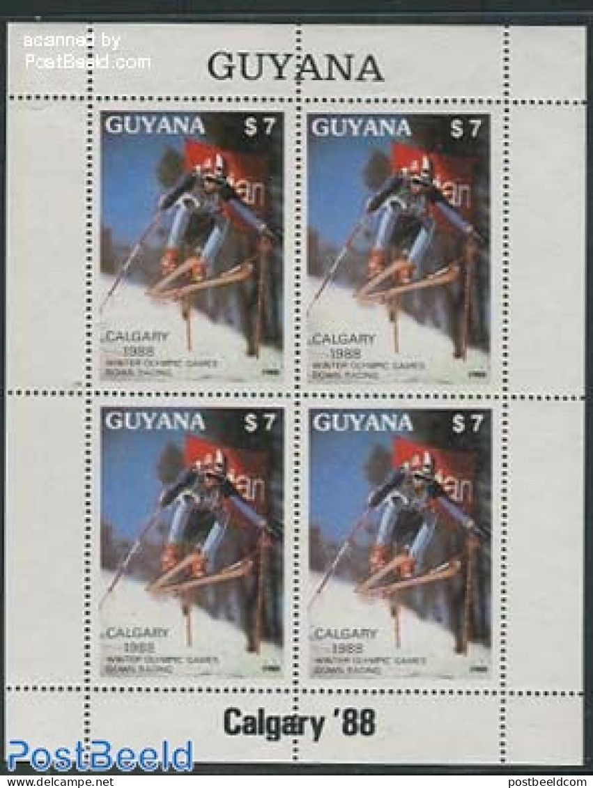 Guyana 1988 Olympic Winter Games M/s, Mint NH, Sport - Olympic Winter Games - Skiing - Skisport