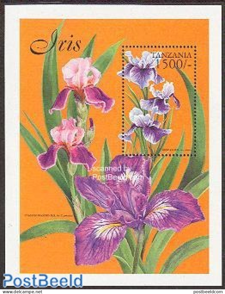 Tanzania 1999 Siberian Iris S/s, Mint NH, Nature - Flowers & Plants - Tanzanie (1964-...)
