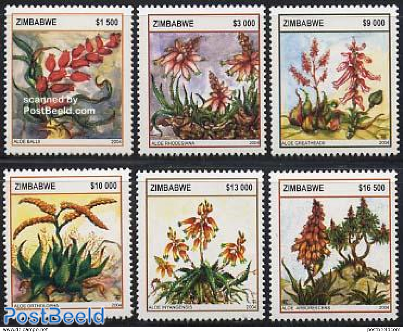 Zimbabwe 2004 Flowers 6v, Mint NH, Nature - Flowers & Plants - Zimbabwe (1980-...)