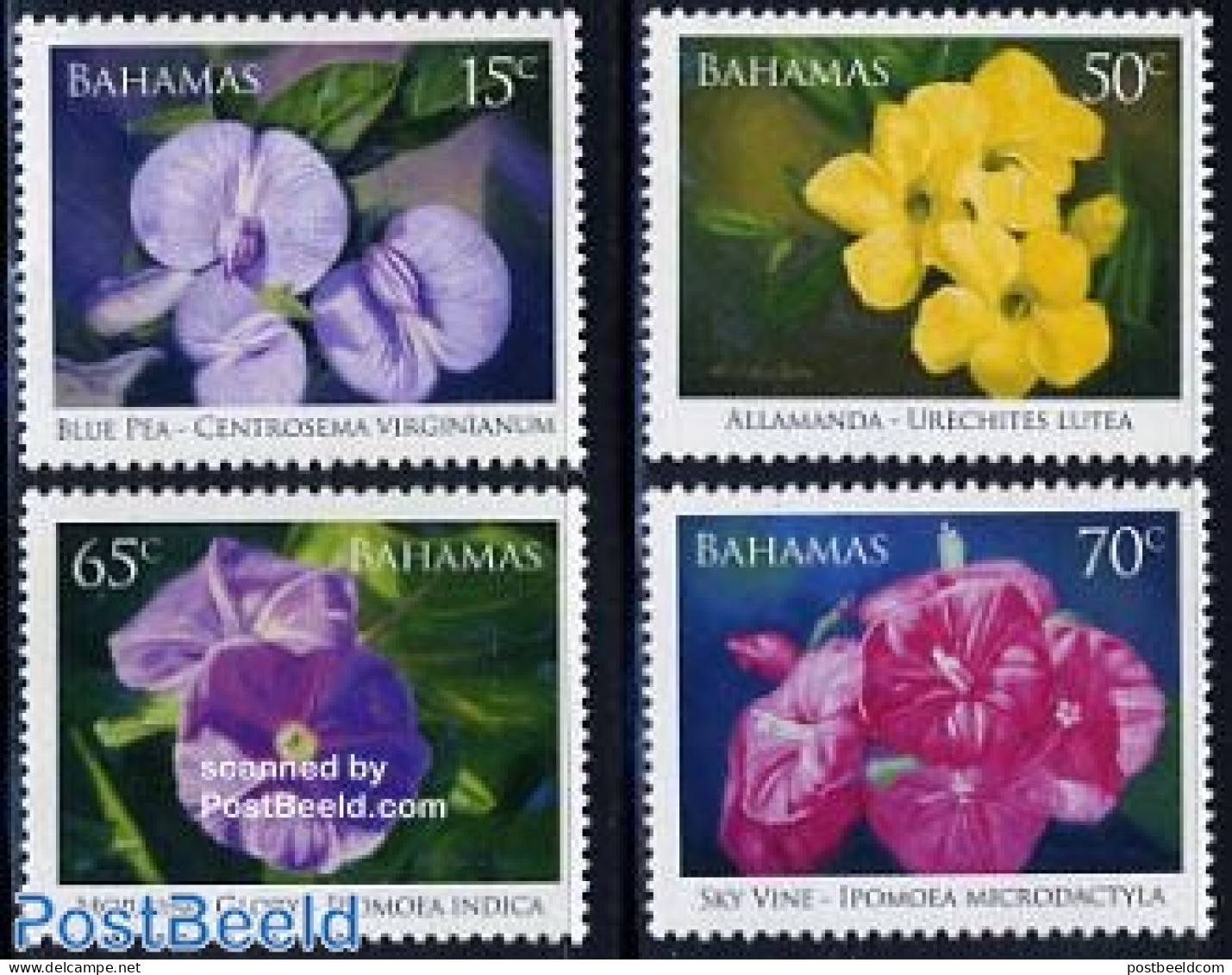 Bahamas 2006 Flowering Vines 4v, Mint NH, Nature - Flowers & Plants - Other & Unclassified