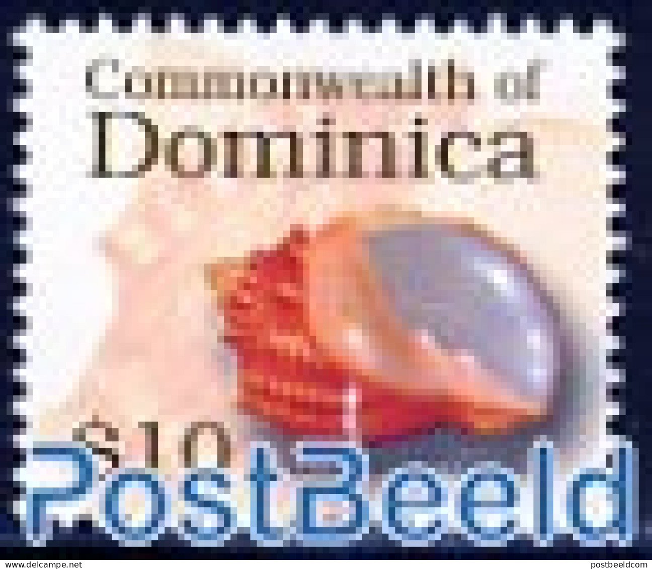 Dominica 2006 Definitive Shell 1v, Mint NH, Nature - Shells & Crustaceans - Vie Marine
