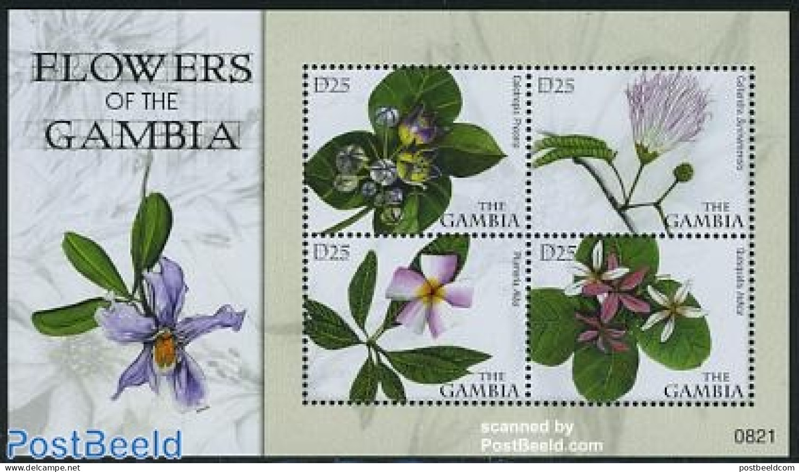 Gambia 2008 Flowers 4v M/s, Mint NH, Nature - Flowers & Plants - Gambie (...-1964)