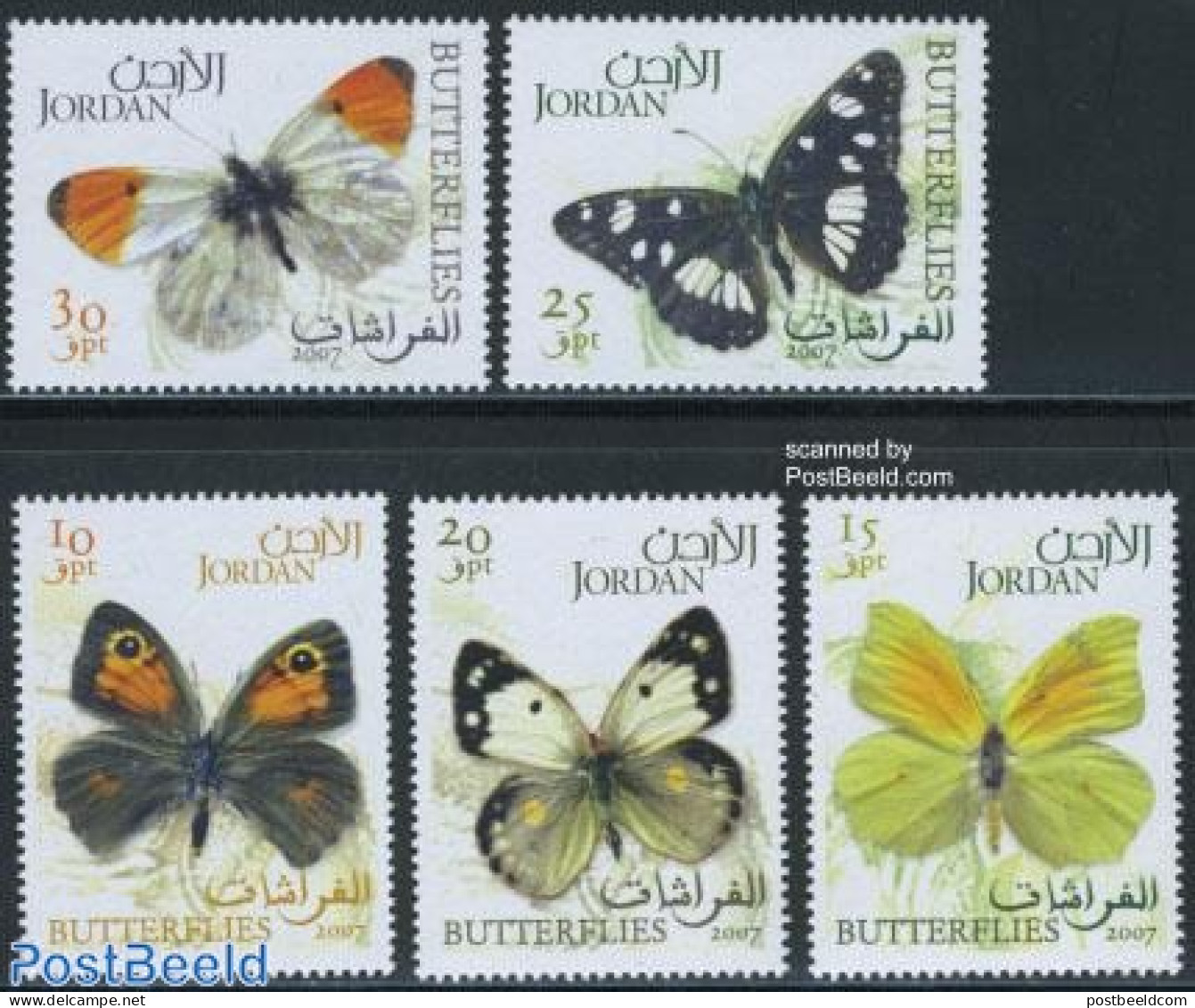 Jordan 2007 Butterflies 5v, Mint NH, Nature - Butterflies - Giordania