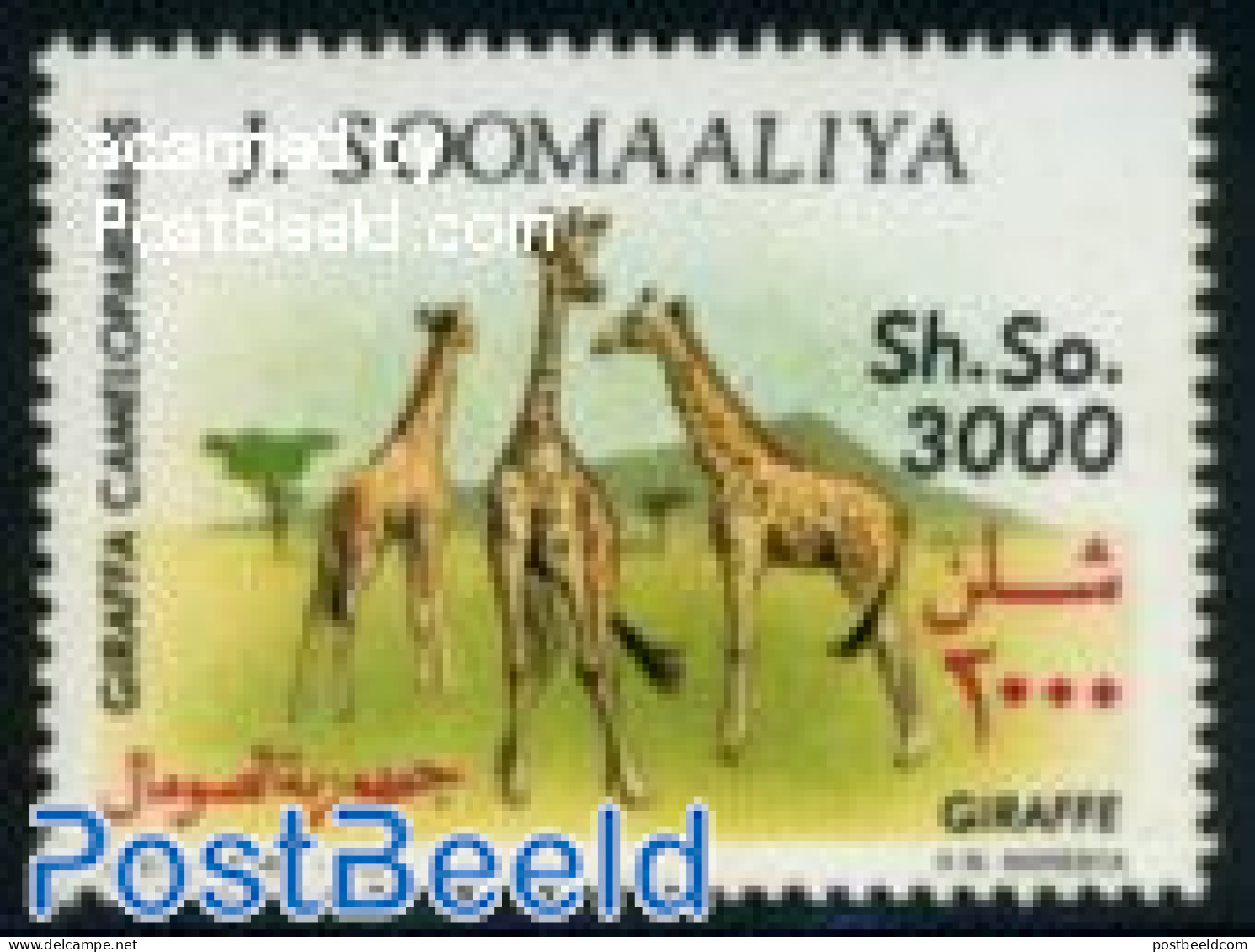 Somalia 1992 3000Sh., Stamp Out Of Set, Mint NH, Nature - Giraffe - Somalië (1960-...)