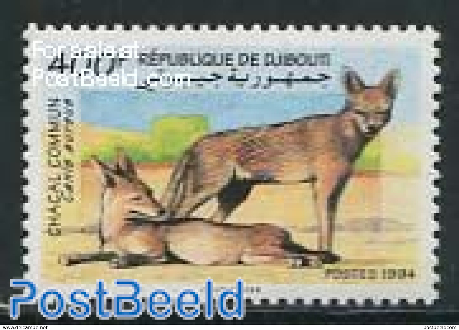 Djibouti 1994 Canis Aureus 1v, Mint NH, Nature - Animals (others & Mixed) - Dschibuti (1977-...)