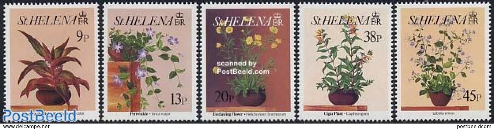 Saint Helena 1993 Flowers 4v, Mint NH, Nature - Flowers & Plants - Sainte-Hélène