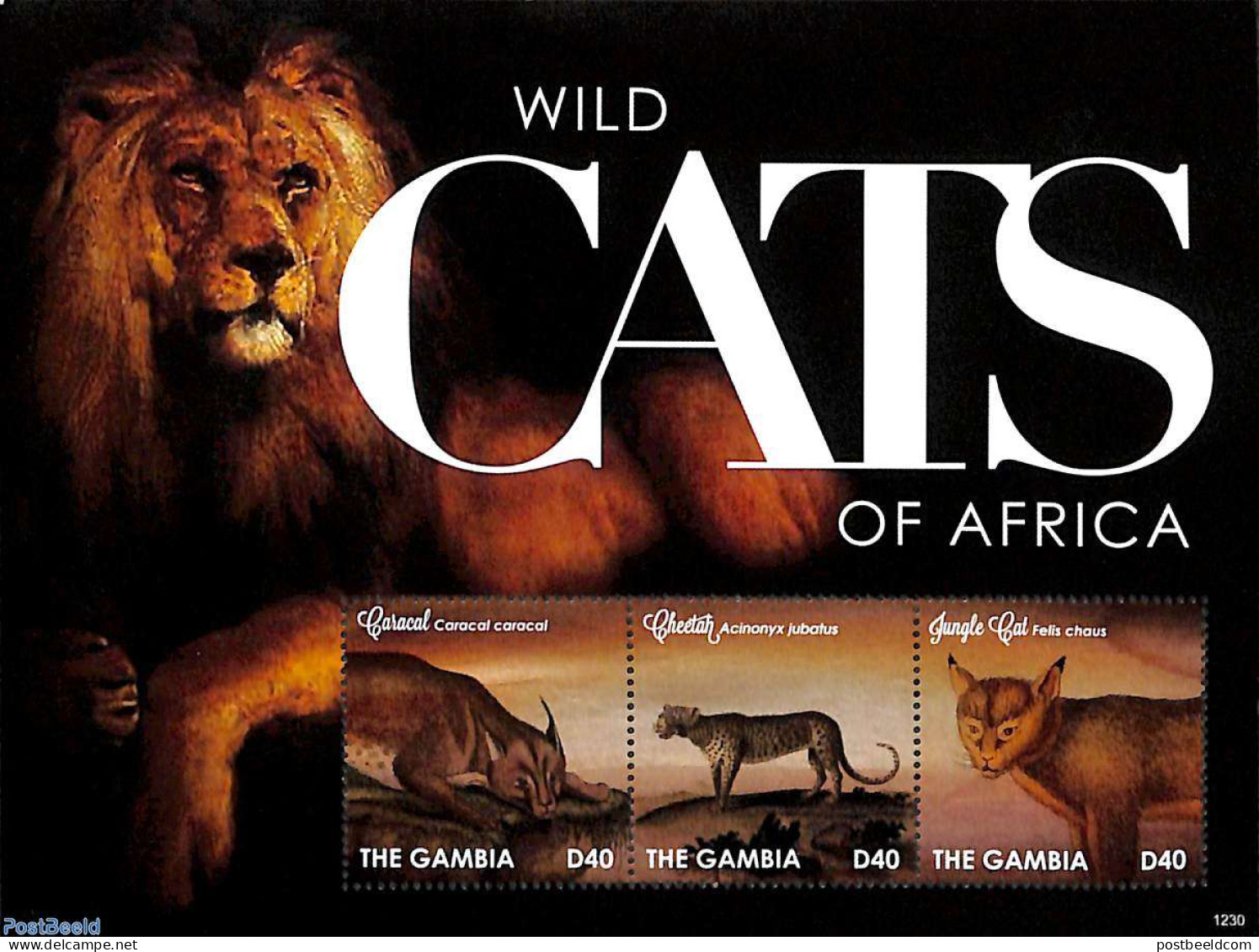 Gambia 2012 Wild Cats 3v M/s, Mint NH, Nature - Cat Family - Gambia (...-1964)