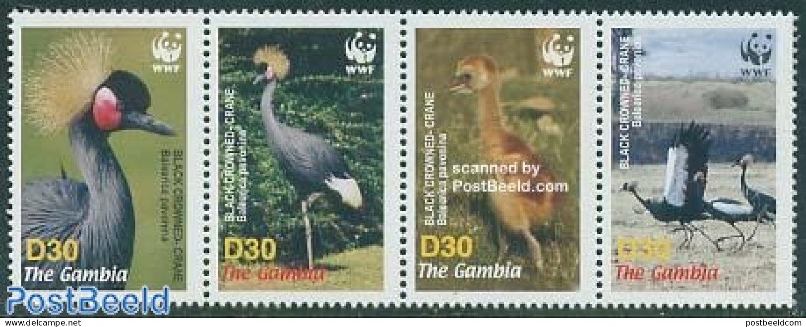 Gambia 2006 WWF, Birds 4v [:::] Or [+], Mint NH, Nature - Birds - World Wildlife Fund (WWF) - Gambia (...-1964)
